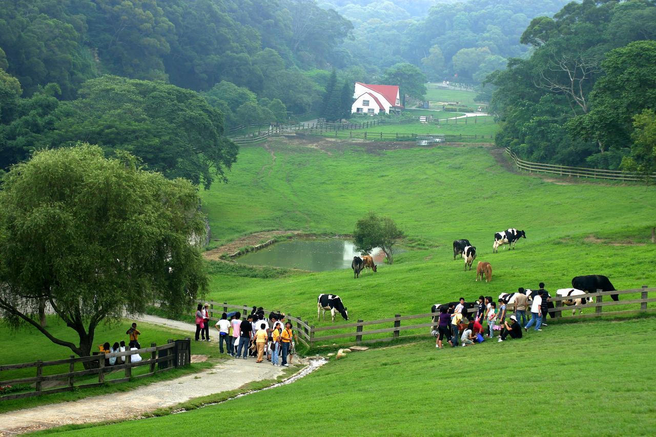 Flying Cow Ranch Hotel Tongxiao Bagian luar foto